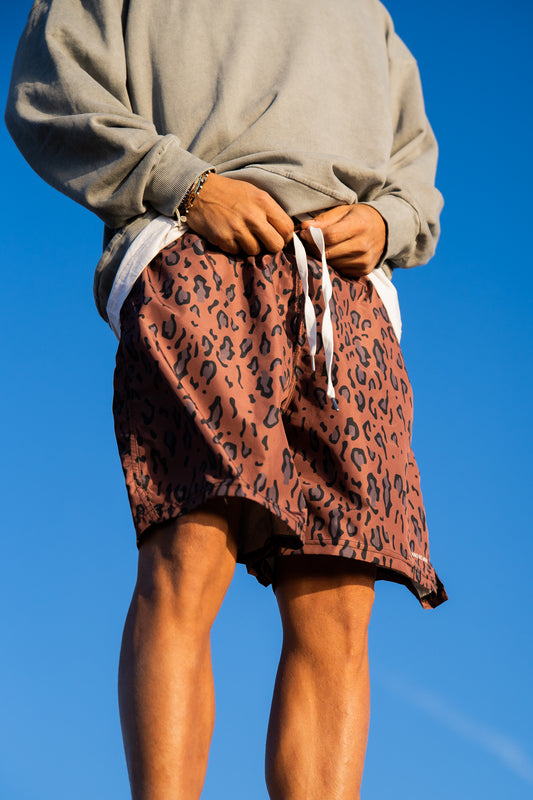 Short Mare Brown Leopard
